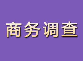 柳河商务调查