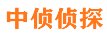 柳河市私人侦探